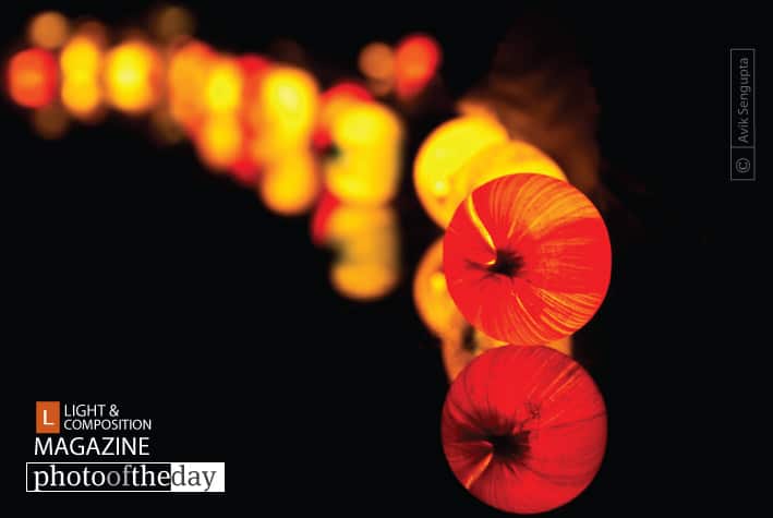 Glowing Caterpillar, by Avik Sengupta Glowing Caterpillar, by Avik Sengupta