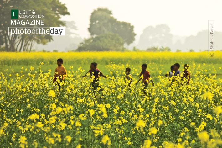Photo of the Day - April 29