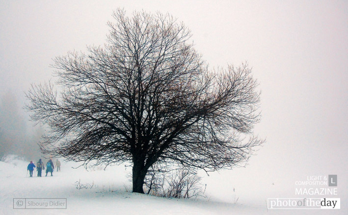 A Walk in Winter, by Didier Sibourg A Walk in Winter, by Didier Sibourg