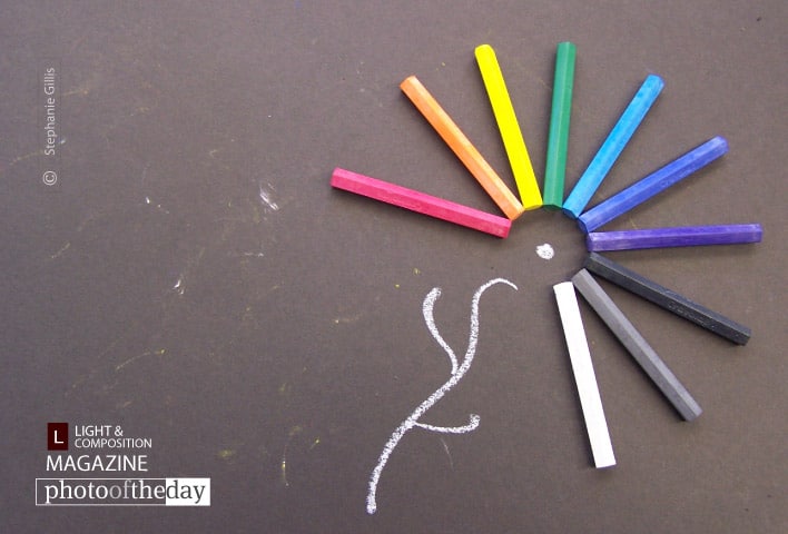 Chalk Flower, by Stephanie Gillis