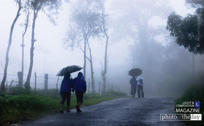 Photo of the Day - December 14