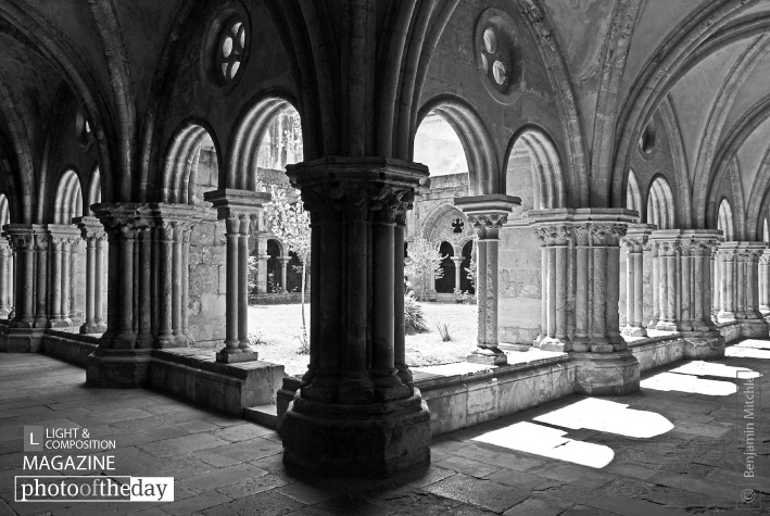 Photo of the Day - January 15