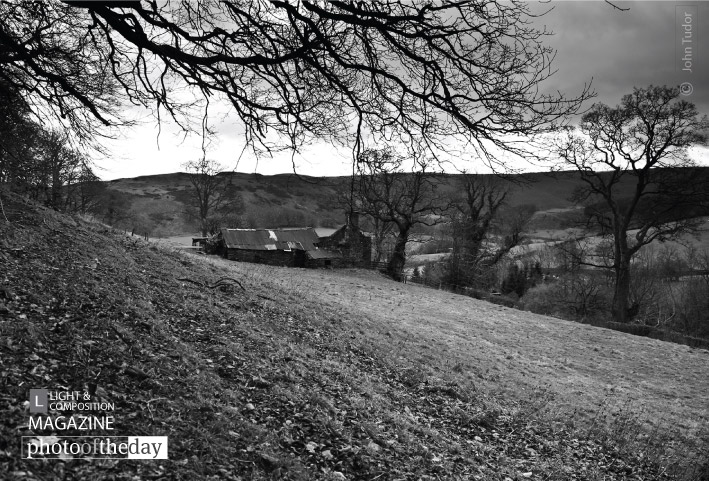 Photo of the Day - December 15