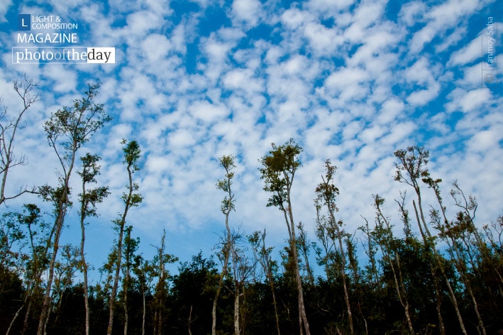 Photo of the Day - January 18