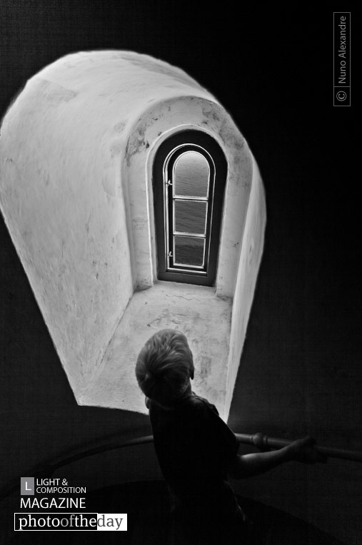 Photo of the Day - January 23
