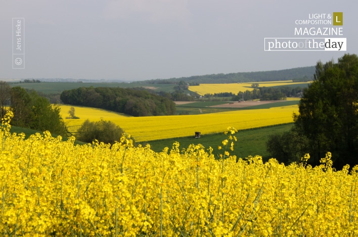 World in Yellow and Green, by Jens Hieke
