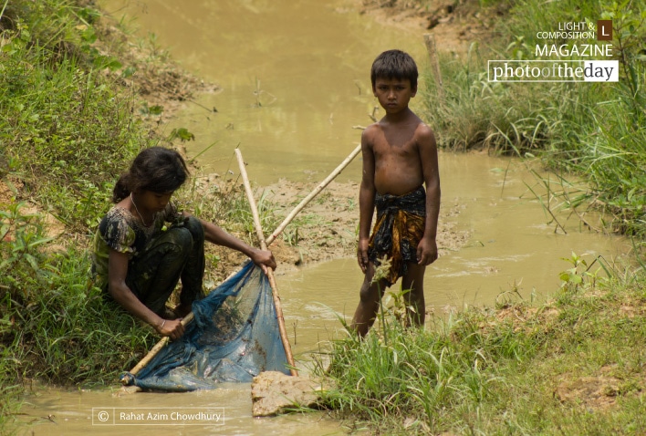 Fishing in the Forest, by Rahat Azim Chowdhury