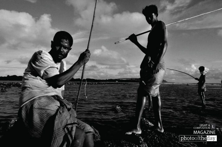 Photo of the Day | June 25 | Aquatic life by Mostafa Monwar