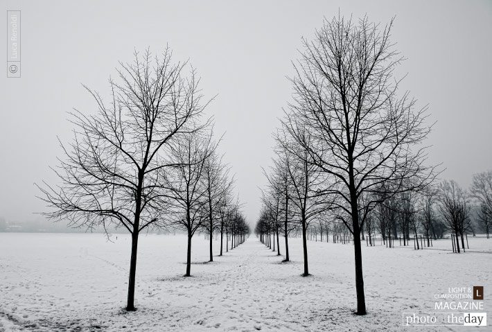 Photo of the Day | October 12 | Rows by Luca Renoldi