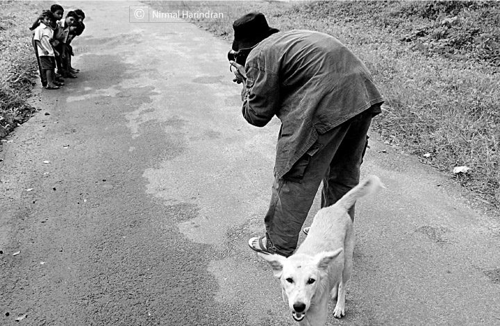 Photo of the Day | November 02 | Stop! One at a time by Nirmal Harindran