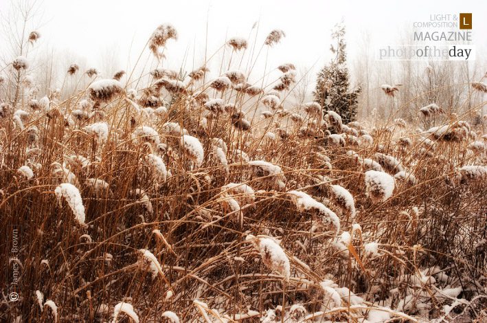 Photo of the Day | January 02 | Winter Wonderland by James L. Brown