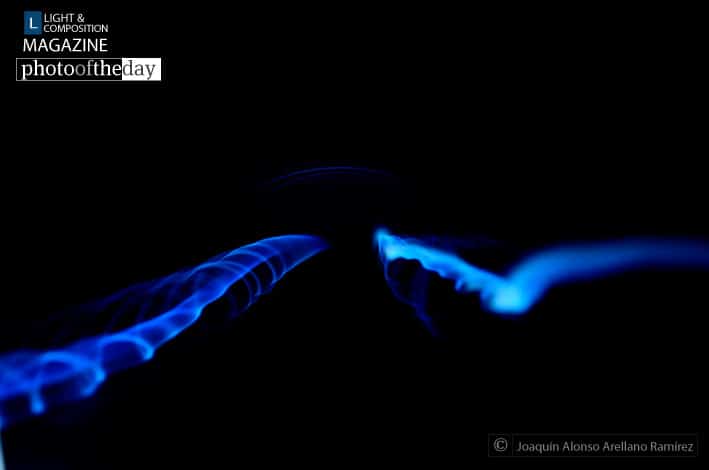 Photo of the Day | January 21 | Dancing by Joaquín Alonso Arellano Ramírez