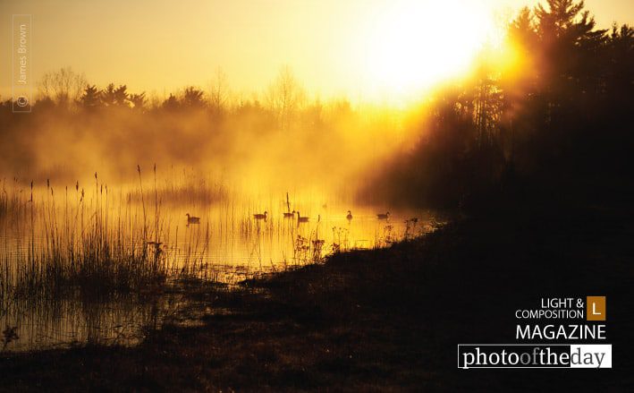 Photo of the Day | May 08 | On Golden Pond by James L. Brown
