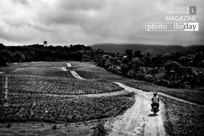 Photo of the Day | June 08 | Journey by Phillip Biboso