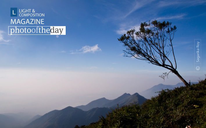 Photo of the Day | September 25 | Alone… by Sagarika Roy