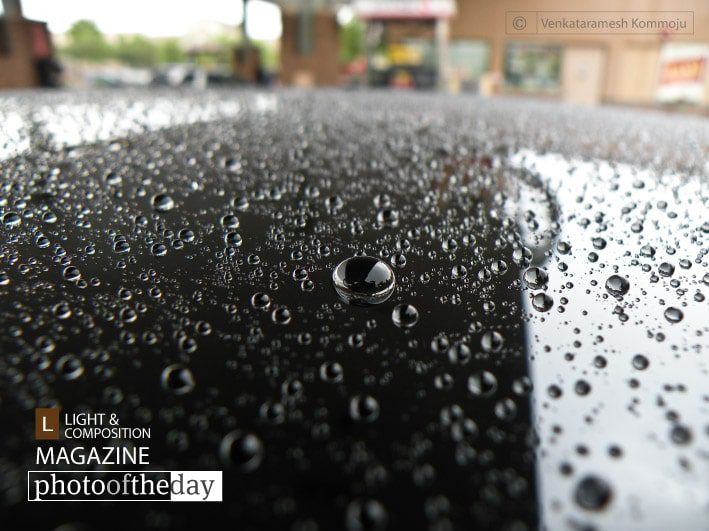 Photo of the Day | November 10 | Raindrops Keep Falling, by Venkataramesh Kommoju