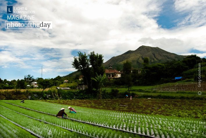 Photo of the Day | November 17 | Volcanic Onion Fields, by Greg Goodman