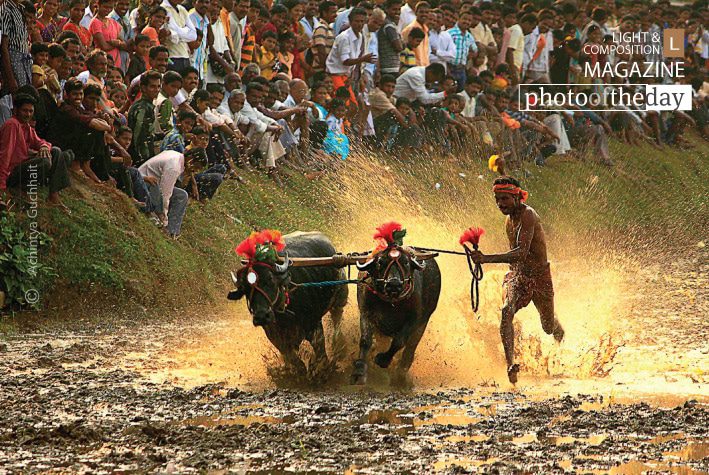 Photo of the Day | January 09 | Kambala, a Village Sports, by Achintya Guchhait