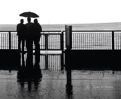 Photo of the Day | January 11 | The Show Must Go On, by Eyad Al Shami