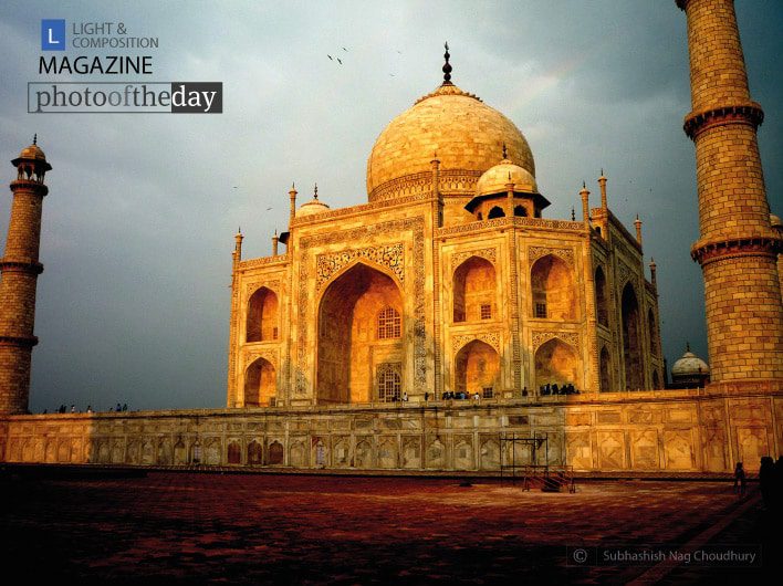 Photo of the Day | February 24 | The Symbol of Love, by Subhashish Nag Choudhury