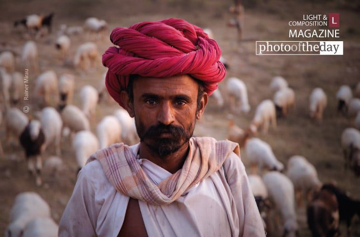 Photo of the Day | February 25 | Ranakpur Shepherd, by Kristian Bertel
