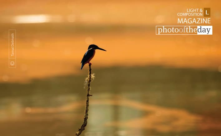 Photo of the Day | March 12 | Into The Orange Sea, by Tamal Debnath
