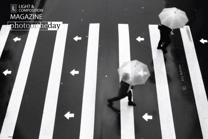 Photo of the Day | March 17 | Return, by Erly Bahsan