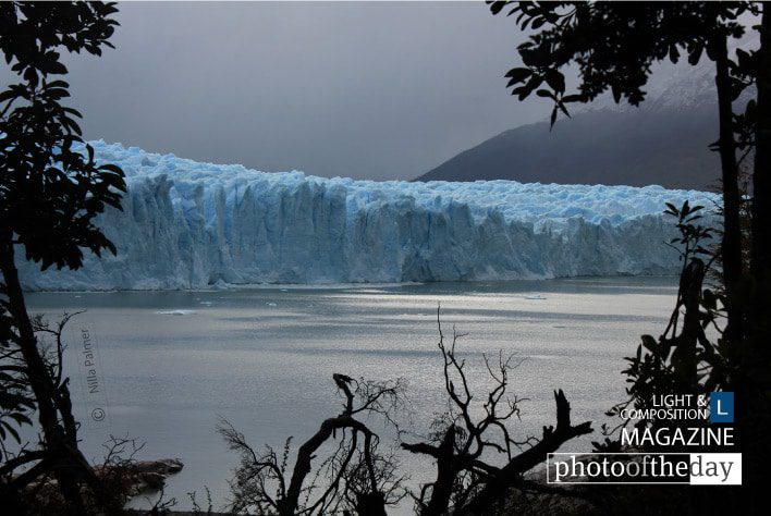 Photo of the Day | April 19 | Perito Moreno Glacier, by Nilla Palmer