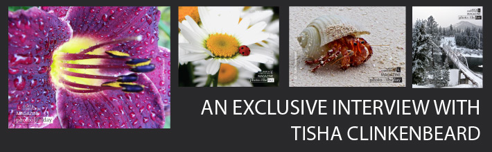 An Exclusive Interview with Tisha Clinkenbeard An Exclusive Interview with Tisha Clinkenbeard