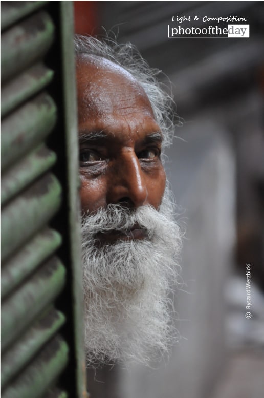A Grey Bearded Man, by Ryszard Wierzbicki