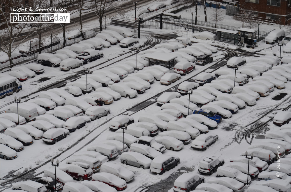Snow Covered Cars, by Des Brownlie
