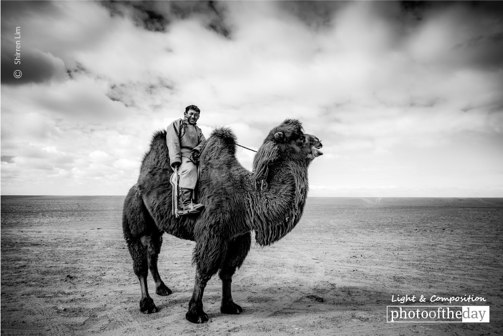 The Camel Polo Player, by Shirren Lim