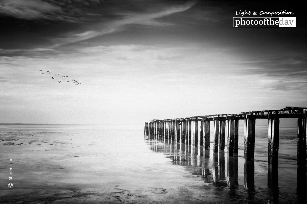 Long Bridge to the Sea, by Shirren Lim