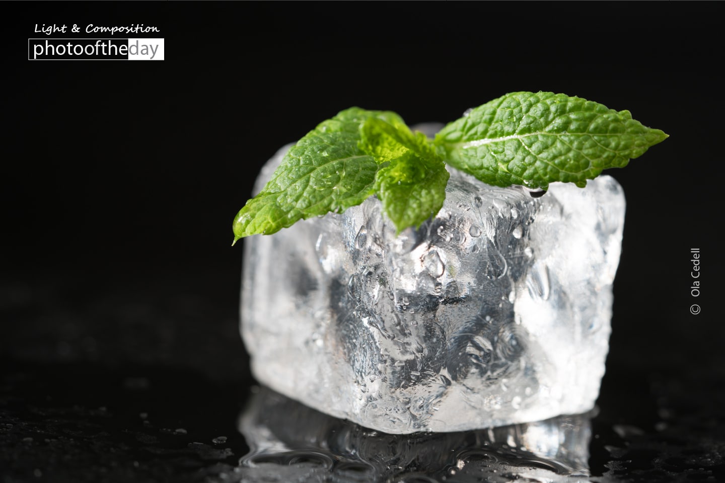 Mint on Ice, by Ola Cedell