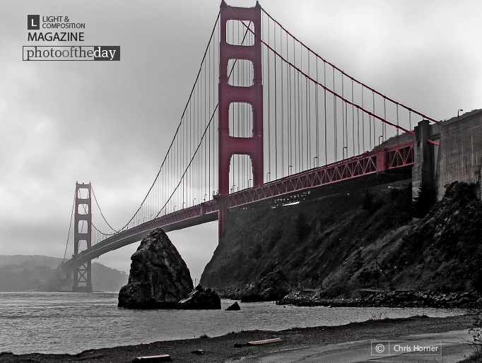 Morning Fog, by Chris Horner