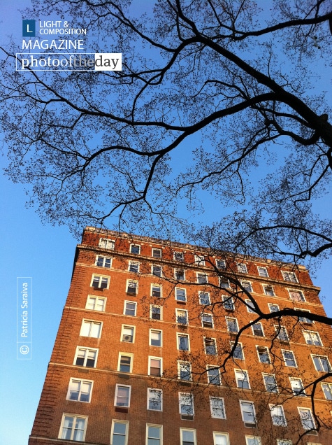 Balconies of Barcelona, by Patricia Saraiva Balconies of Barcelona, by Patricia Saraiva