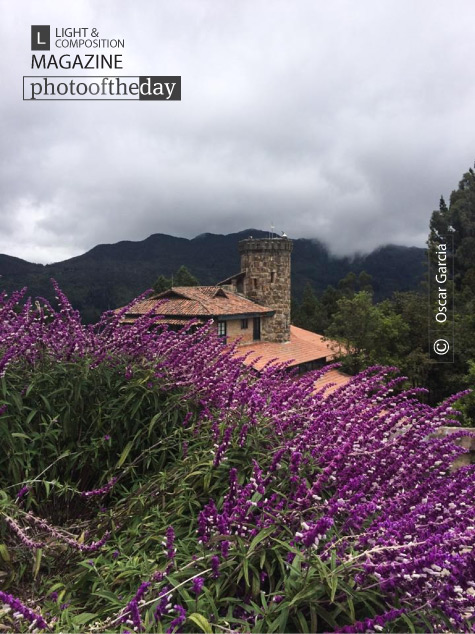 Beautiful Castle and Flowers, by Oscar Garcia