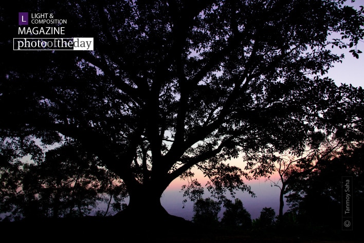 The Strong Hold, by Tanmoy Saha