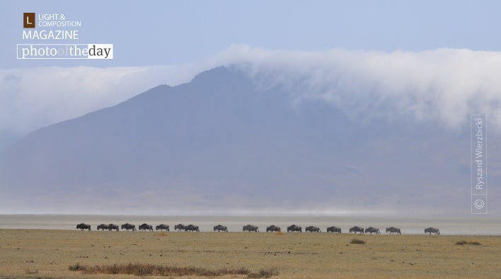 Migration Caravan