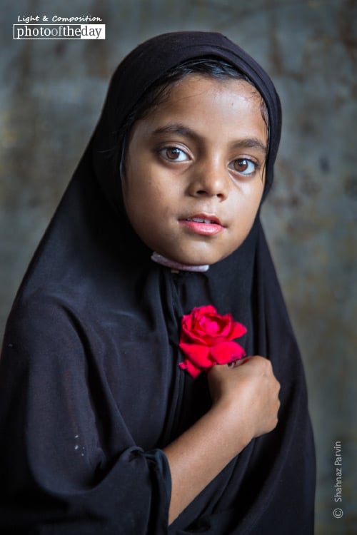 The Girl with a Red Rose, by Shahnaz Parvin