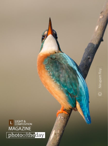 Sky Look, by Nirupam Roy