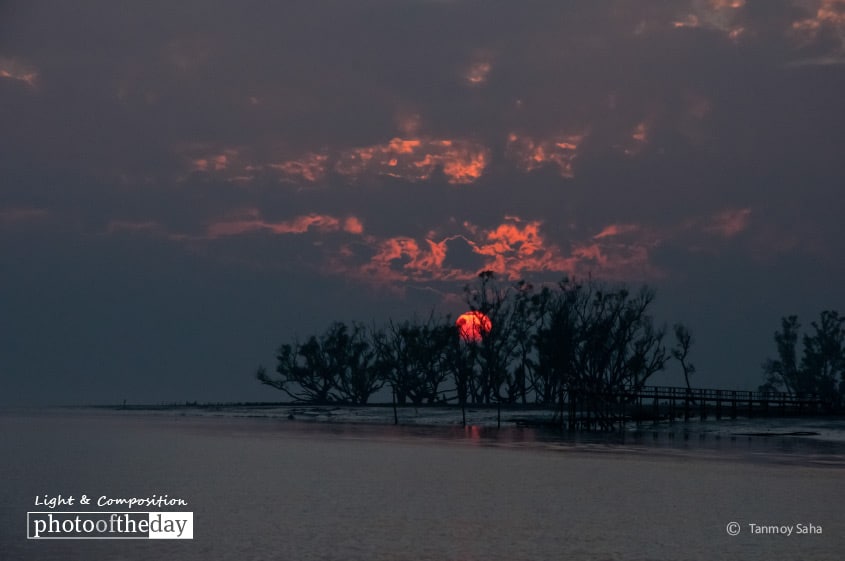 The Sunset at Sundarban, by Tanmoy Saha