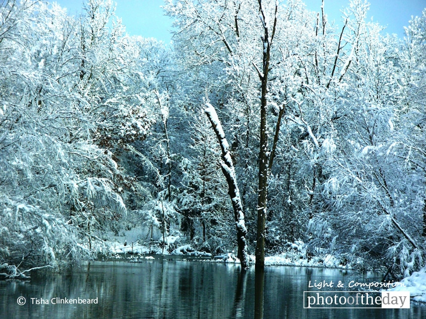 Snowy Pond, by Tisha Clinkenbeard