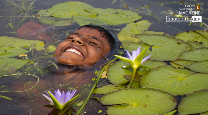 Float like a Lily Flower, by Shahnaz Parvin