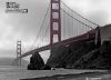 Morning Fog, by Chris Horner