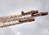 Canadian Navy Trainers by Chris Horner