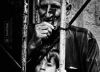 The Key of Hope, by Yousef Deeb