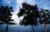 Blue Breeze, by Muhammed Najeeb