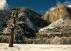 Yosemite Falls, by Pavithra Ramasubramanian