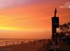 Evening Breeze by Muhammed Najeeb